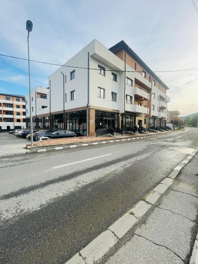Apartament Yra Rm.Valcea Râmnicu Vâlcea Eksteriør bilde
